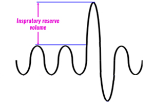 tidal volume definition respiratory system