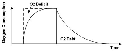 oxygen debt graph chart