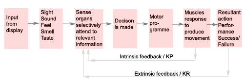 Information processing model discount psychology